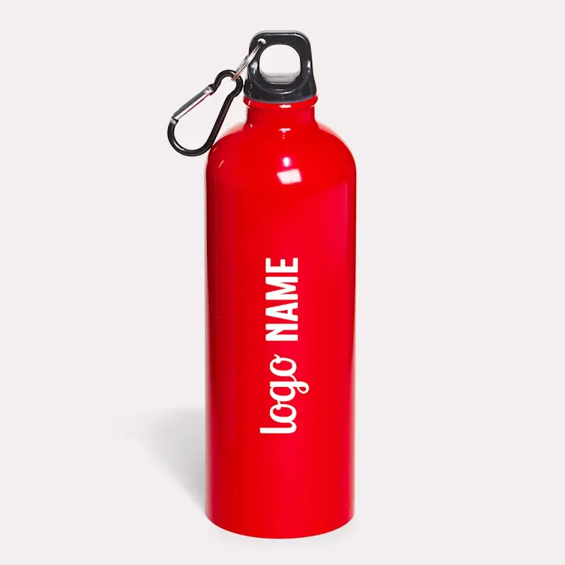 Gourdes en aluminium avec mousqueton 750ml