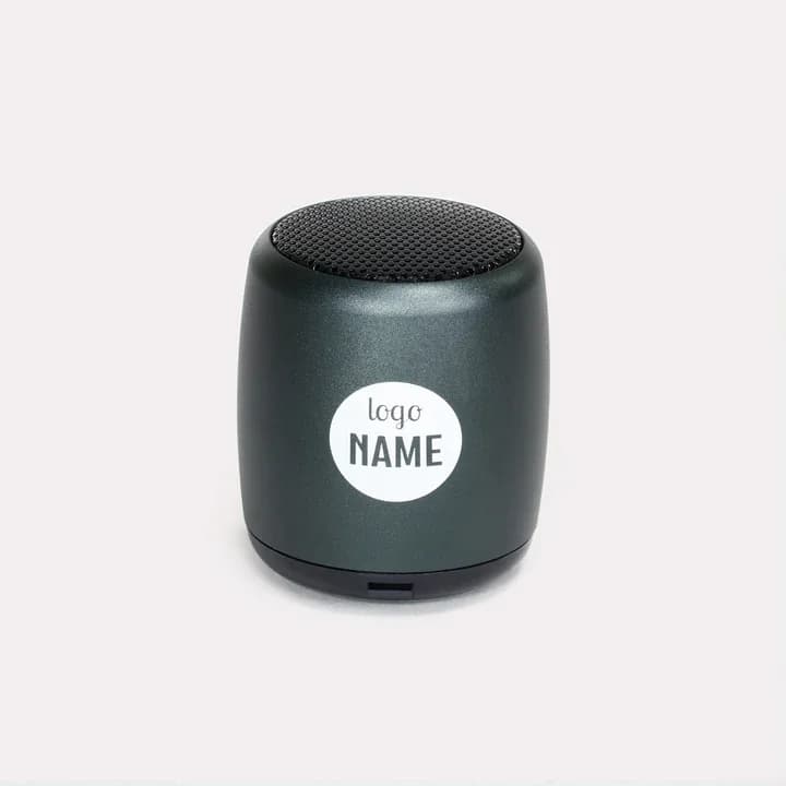 Mini enceintes sans fil