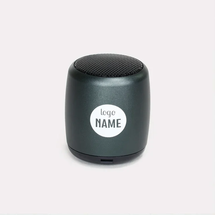 Mini enceintes sans fil